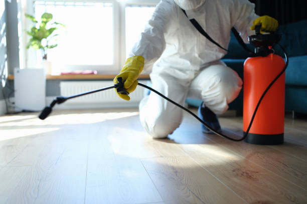 Reliable Biohazard Cleanup contractor in Henderson, NV by Trauma Clean Pros